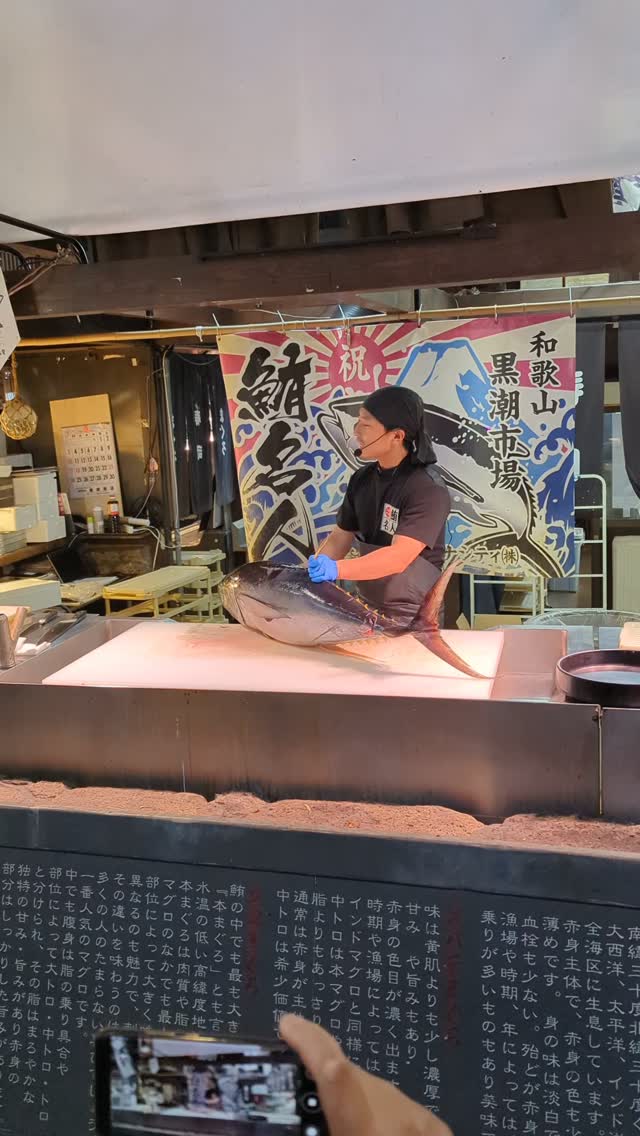 Japón: comida, tradiciones y experiencias que hay que vivir en persona