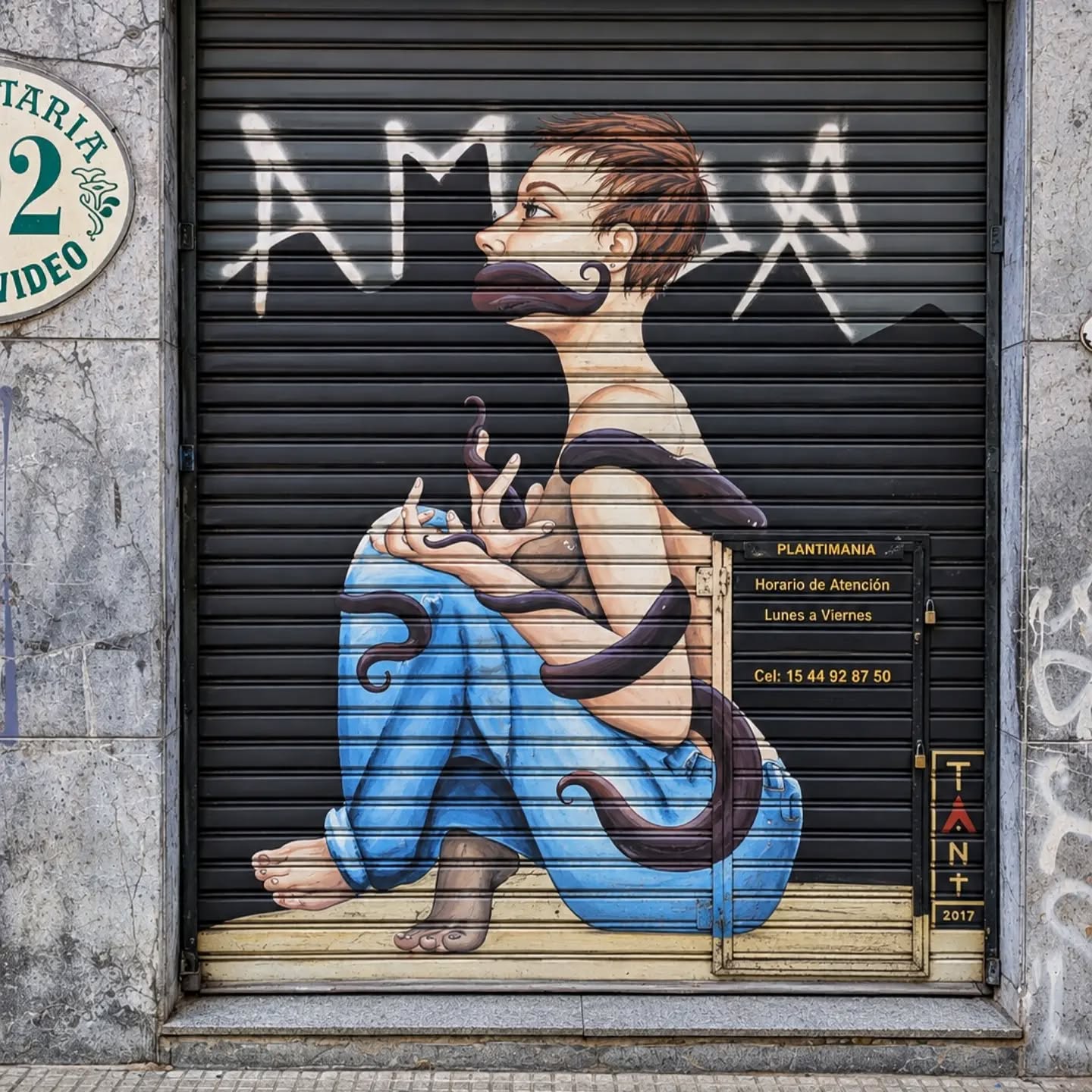 Cuando bajan las persianas: buscando las persianas pintadas de Buenos Aires